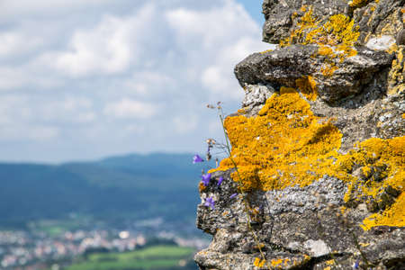 View in a valley from top of a castle on a sunny day in the bavarian forestの写真素材