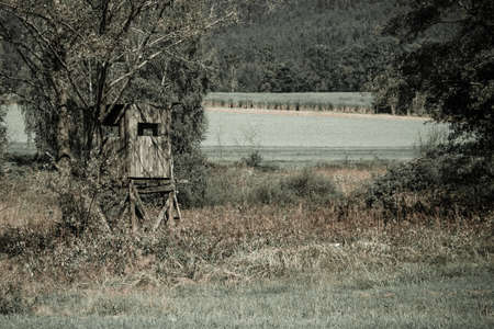 Hunting seat with trees around the deerstand in the bavarian forestの写真素材