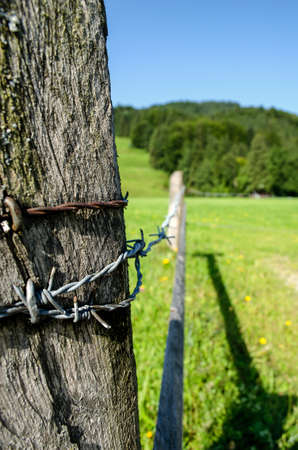 Wire at the landscapeの写真素材