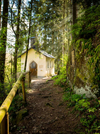 Path to a small chapel in the forest with sunrays in the bavarian forestの写真素材