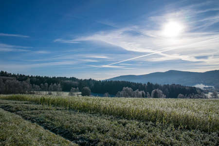 Frozen Landscape in the winter with sun and clouds on the sky in the bavarian forestの写真素材