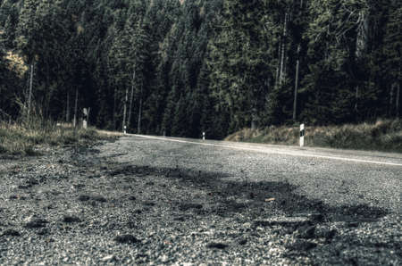 Asphalt road in the bavarian forestの写真素材