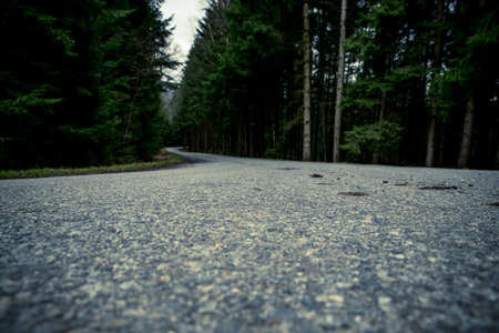 Asphalt road through the bavarian forestの写真素材