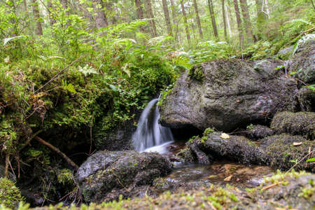 Creek with green Moss in the bavarian forest with great stones in front ofの写真素材