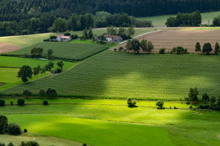 Landscape with shadown and sunlight in the bavarian forestの写真素材