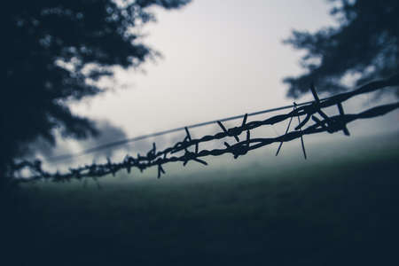Wire with fog in the background and treesの写真素材