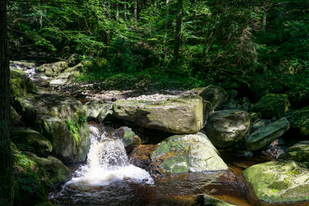 Creek with green Moss in the bavarian forest with great stones in front ofの写真素材