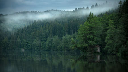 Fog over a lake with reflection from the trees on the water in the bavarian forestの写真素材