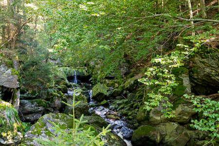 Creek with green Moss in the bavarian forest with great stones in front ofの写真素材