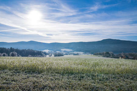 Frozen Landscape in the winter with sun and clouds on the sky in the bavarian forestの写真素材