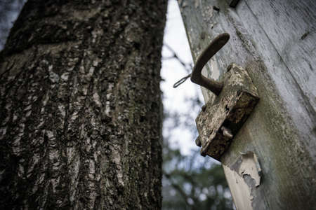 Door from a hunting seat in the forest