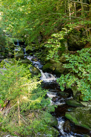 Creek with green Moss in the bavarian forest with great stones in front ofの写真素材