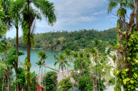 Palm in front of a Ocean and clouds on the sky in the Dominican Republicの写真素材