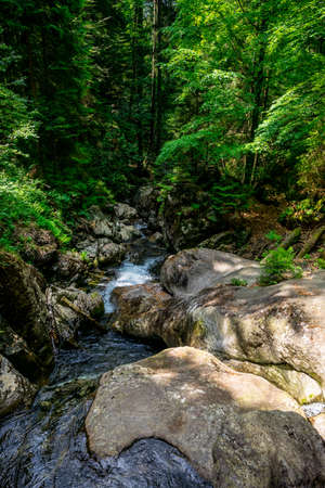Waterfall with rocks and stones in the green nature in the bavarian forestの写真素材