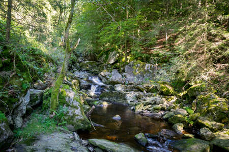 Creek with green Moss in the bavarian forest with great stones in front ofの写真素材