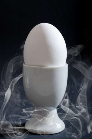 White egg isolatedの写真素材