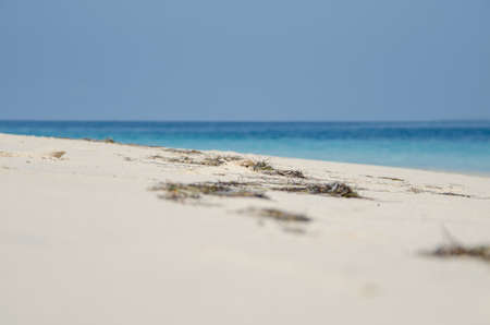 White Beach in the Dominican Republic with a blue oceanの写真素材