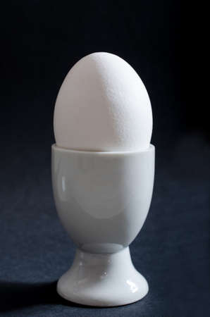 White egg isolatedの写真素材