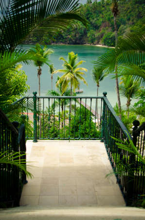 Path at a ocean in the Dominican Republic with Palmsの写真素材