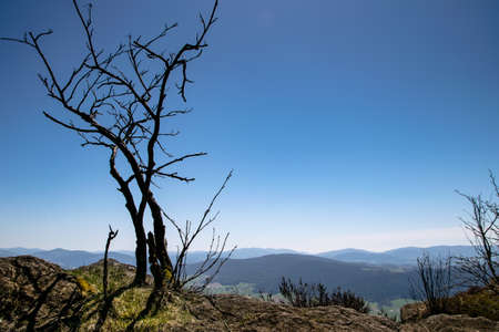 View in a valley from top of a mountain on a sunny day in the bavarian forestの写真素材