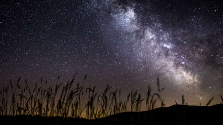Milkyway with much stars on the sky and a green field in front of and trees in the background in the bavarian forestの写真素材