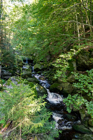 Creek with green Moss in the bavarian forest with great stones in front ofの写真素材