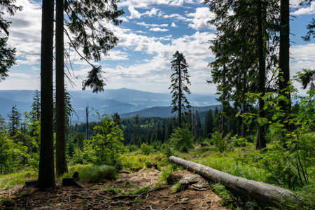 View from the forest over the mountains with clouds on the sky in the bavarian forestの写真素材
