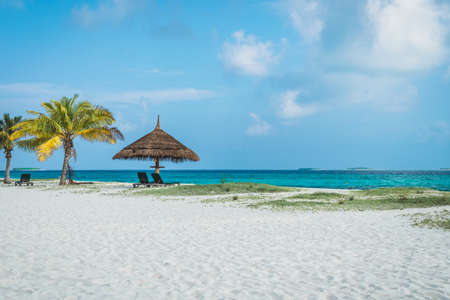 Palm tree on the white beach with a turquoise ocean and blue sky at the maldivesの写真素材