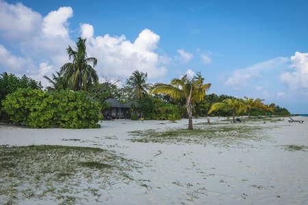 Maldives with turquoise clear water and many palm trees and clouds in the skyの写真素材
