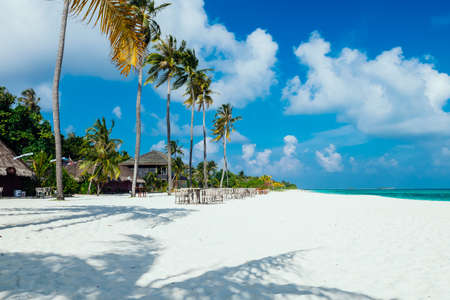Maldives with turquoise clear water and many palm trees and clouds in the skyの写真素材
