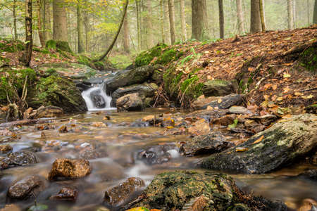 Waterfall in the autumn in the bavarian forest with nice water and green mossの写真素材