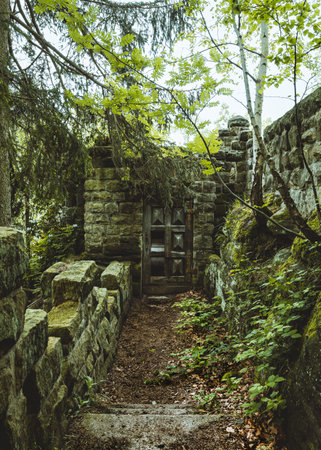 A weathered, moss-covered ruin stands atop a mountain in the enchanting landscape of Saxon Switzerland. Towering trees embrace the ancient structure, creating a hauntingly beautiful scene. The image evokes a sense of history, mystery, and the passage of timeの写真素材