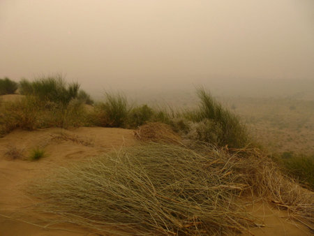 Dunes in the desert near Jaisalmer, Rajasthanの写真素材
