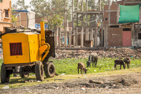 Union Carbide Chemical Plant, Bhopal, Indiaの写真素材