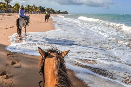 Horseback riding on the beaches in Bahia in Brazil. The beaches there are wild and isolated.の写真素材