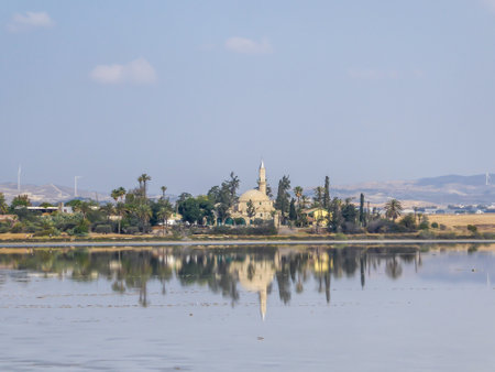 Hala Sultan Tekke seen from a distance. The mosque is surrounded by lush setting - palm trees and smaller bushes. Clear reflection of the mosque in the calm surface of a Larnaca Salt Lake.の写真素材