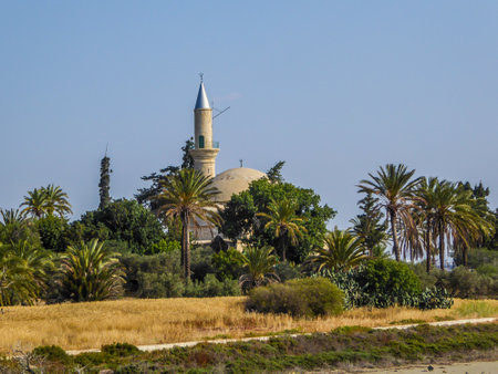 Hala Sultan Tekke seen from a distance. The mosque is surrounded by lush setting - palm trees and smaller bushes. Mosque is located at the shore of the Larnaca salt lake. Cloudless sky.の写真素材