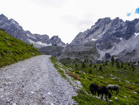 A narrow gravelled road leading to sharp stony mountain range of Lienz Dolomites, Austria. Mountains partially overgrown with bushes. Dangerous mountain climbing. Heard of sheep grazing on the sideの写真素材