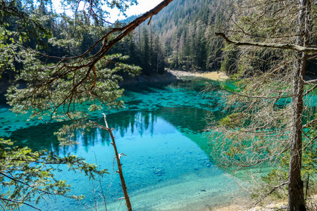 A view through the tree branches on Green Lake, located in an Alpine valley in Austria. The alga...