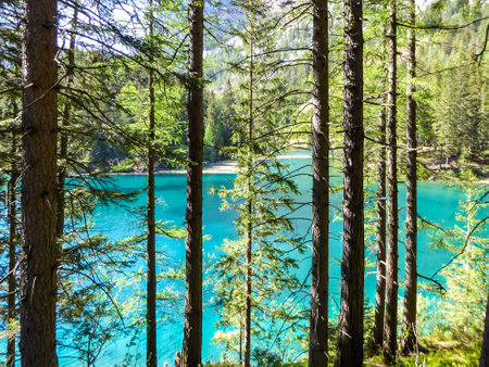 A view through the tree branches on Green Lake, located in an Alpine valley in Austria. The alga give the lake its turquoise color. The lake collects the glacier's water. Dense forest around the lakeの写真素材