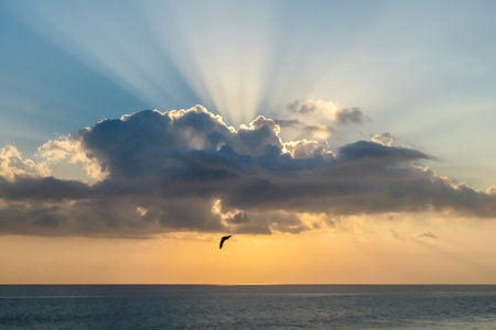 Sunset over the sea in Bali, Indonesia. There is a cloud, behind which the sun is hiding. The sunbeams are spreading in each direction. There is a bird flying above the sea surface. Golden hourの写真素材