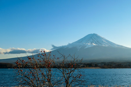 An idyllic view on Mt Fuji from the side of Kawaguchiko Lake, Japan, disturbed by tree branches. The mountain is surrounded by clouds. The top of the volcano is covered with snow. Calm lake's surfaceの写真素材