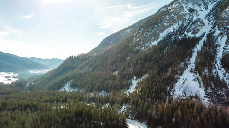 A drone shot of snow-capped Alps in Austria. There is a thick forest in the lower parts of the mountains. High mountains slopes are stony and barren. Clear and bright day. Winter Wonderlandの写真素材