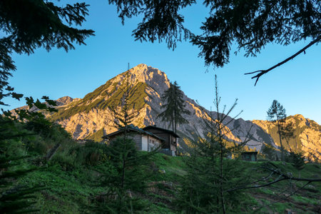 A view through tree branches on the first sunbeams reaching the top of Mittagskogel in Austrian Alps. There is a lush pasture and a wooden cottage in front of the mountain. Daybreak. Clear blue sky.の写真素材