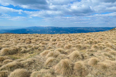 A panoramic view on an Alpine pasture in Austria. The vast pasture has golden colors. There are other mountain chains in the back. Unspoiled landscape. Overcast. Serenity and calmnessの写真素材