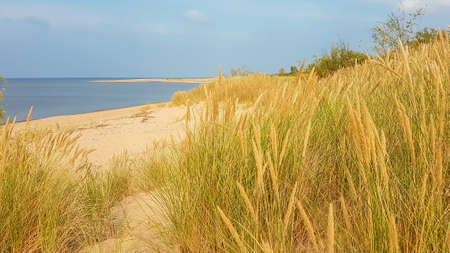 A panoramic view on the sandy beach by Baltic Sea on Sobieszewo island, Poland. The beach is scarcely overgrown with high grass. The sea is gently waving. A bit of overcast. Serenity and calmnessの写真素材