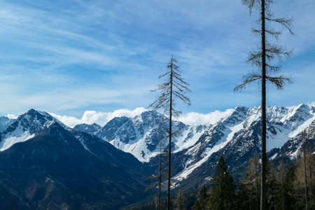 A panoramic view from the top of Alpine peak in Austria. The whole area is shrouded in thick clouds. A few peaks popping out from the clouds. High mountain chains in the back. Carpet from the cloudsの写真素材