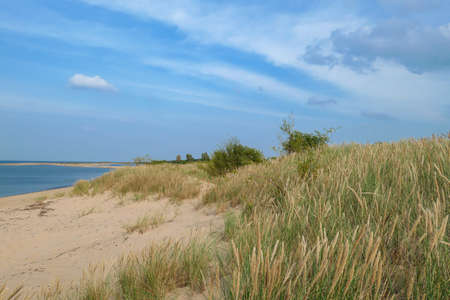 A panoramic view on the sandy beach by Baltic Sea on Sobieszewo island, Poland. The beach is...