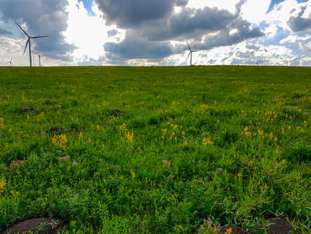 A field of wind turbines build on a vast pasture in Xilinhot in Inner Mongolia. There are a few yellow and purple wildflowers. Natural resources energy. Endless grassland. Blue sky with white clouds.の写真素材
