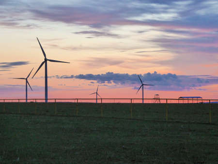 A field of wind turbines build on a vast pasture in Xilinhot in Inner Mongolia. Natural resources...